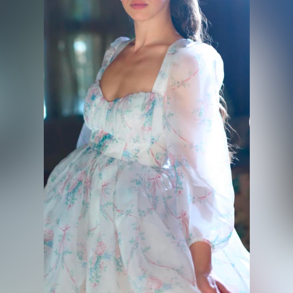 NWT Selkie Debutante Bowery Dress